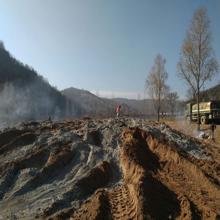 ?建筑工地道路揚(yáng)塵防治劑?