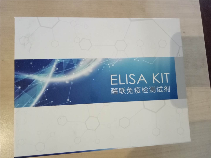 人CD28分子（CD28）elisa試劑盒