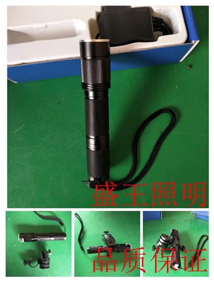 RWX313-L50W/200WLED免維護(hù)防爆泛光燈