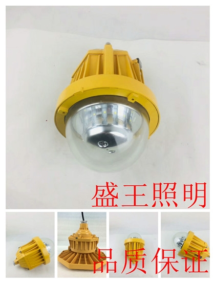 LED防爆照明燈ZY8165-100W/200W