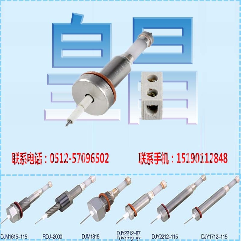 DSW-1鍋爐電極新疆吐魯番地區(qū)鍋爐電極規(guī)格M16×2.0×115mm