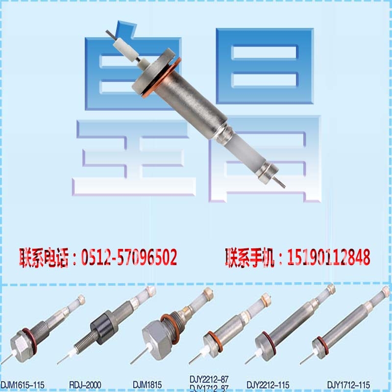 超純氧化鋁水位計電極青海黃南水位高壓電極RDJ2000D