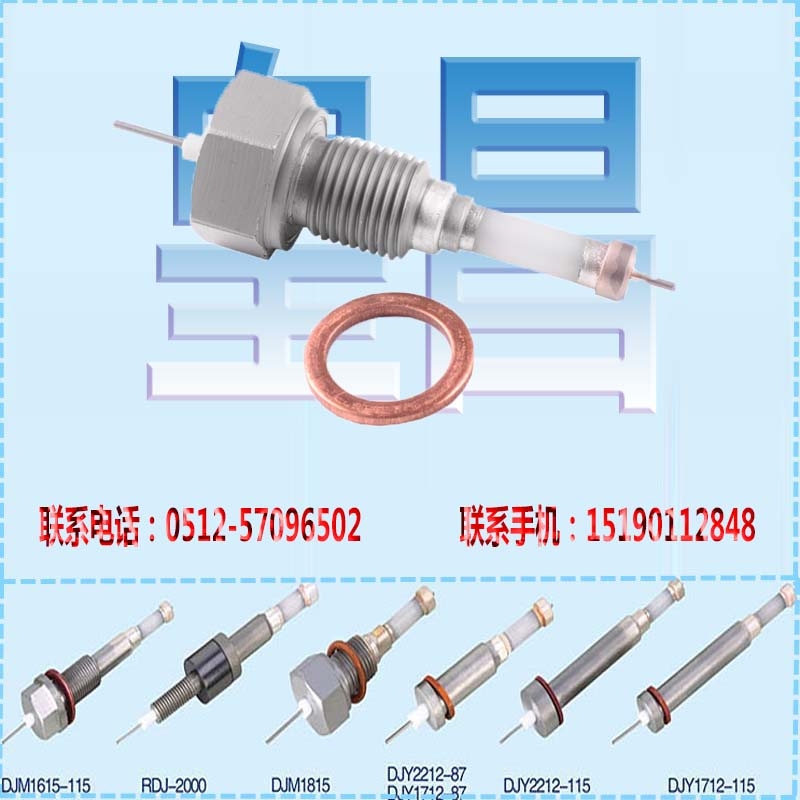 鍋爐高壓電極新疆伊犁鍋爐電極規(guī)格M16×2.0×115mm