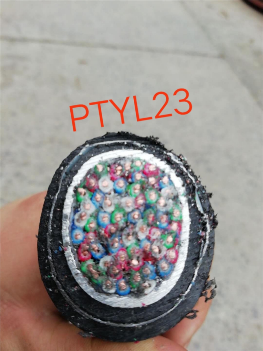 PTYA22 PTY23 綜合紐絞鐵路信號電纜