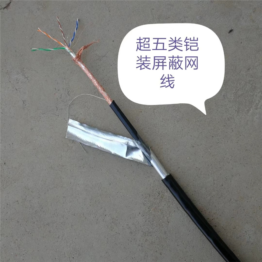 電力電纜BPFFP耐高溫變頻電纜