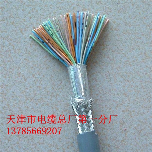 鎧裝信號(hào)電纜鎧裝信號(hào)電纜PTYA23