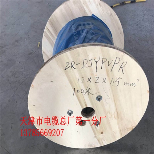 WDZ-HYA電纜100x2X0..4