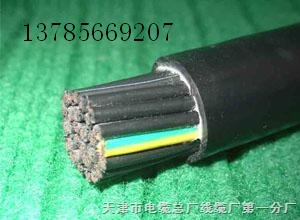 計(jì)算機(jī)電纜12*2*1.0 ZR-DJYVPL22阻燃屏蔽計(jì)算機(jī)電纜