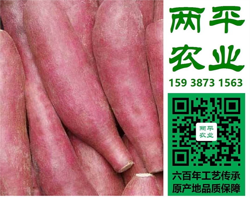 泉州紅薯粉條成本價(jià)格，純手工紅薯粉條品牌排名，紅薯粉條在哪里。