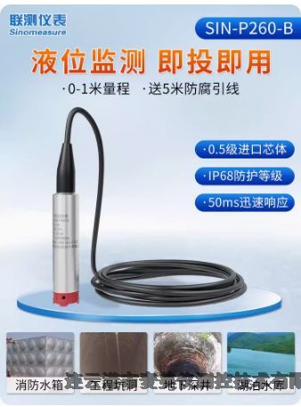 聯(lián)測(cè)SIN-P260投入式液位變送器4-20mA一體式水位計(jì)0-5m物位探頭