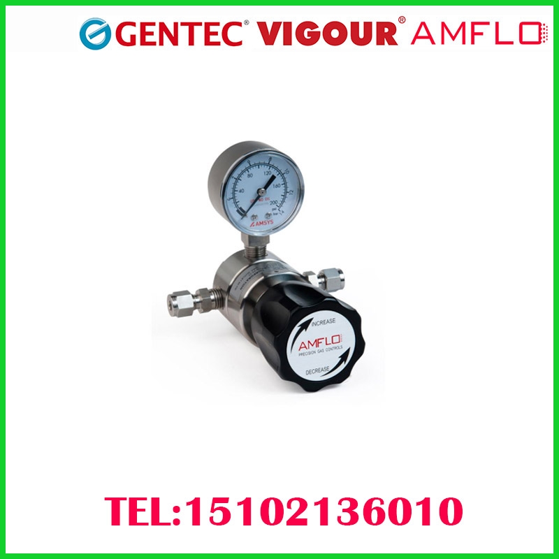 (yng)GENTEC/VIGOUR/AMFLO/GCEP316Lwpyp