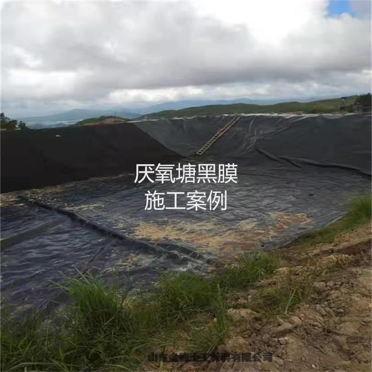 泉州垃圾填埋場防滲幅寬7米光面土工膜 HDPE膜國標(biāo)1.0mm厚