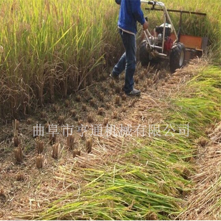 河南艾草收割機(jī) 一邊倒大豆割曬機(jī) 高桿作物青儲(chǔ)收割機(jī)