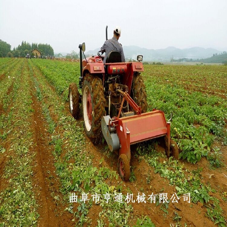 地瓜土豆殺秧機(jī) 農(nóng)作物土豆秧殺殃機(jī)土豆馬鈴薯割秧機(jī)