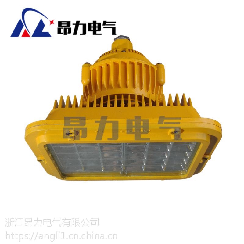 供應(yīng)免維護(hù)40W60W80WLED防爆燈