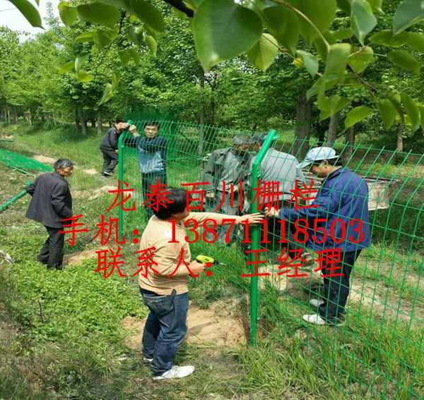 棗陽市果園種植隔離網(wǎng) 襄陽圍山鋼絲圍網(wǎng)批發(fā)價格多少錢一米