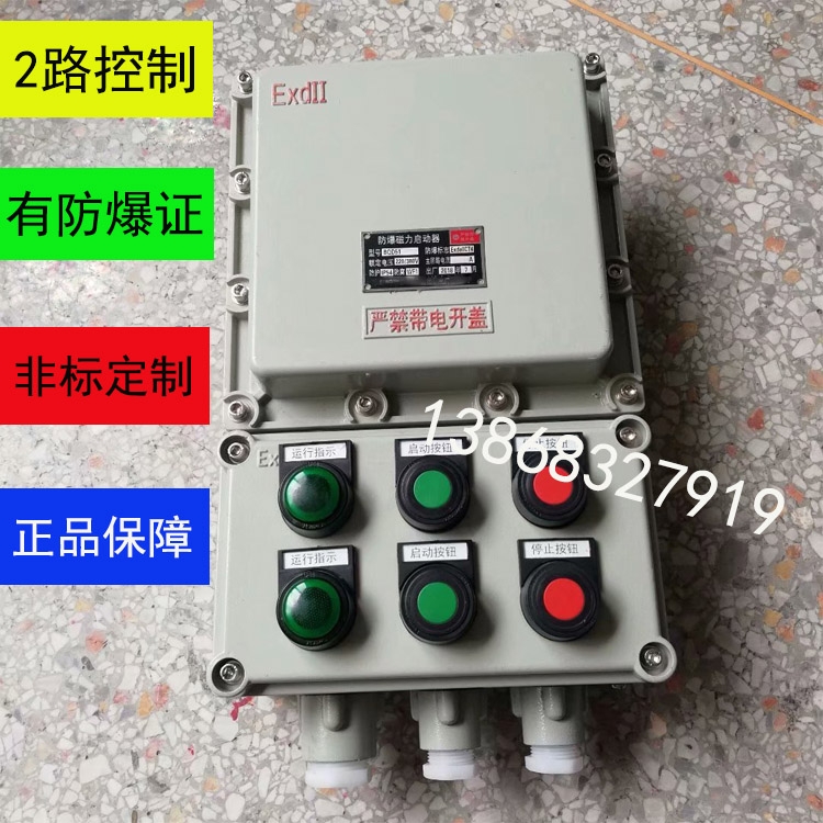 BQC53防爆電磁起動(dòng)器 5.5KW2路啟?？刂? title=