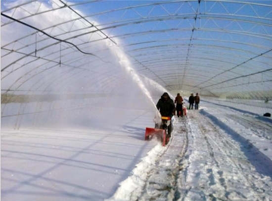 河北五星全齒輪掃雪機(jī)—多功能三合一掃雪機(jī)適用所有路況