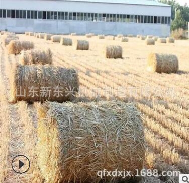 小麥秸稈撿拾打捆機(jī) 稻草捆草機(jī)