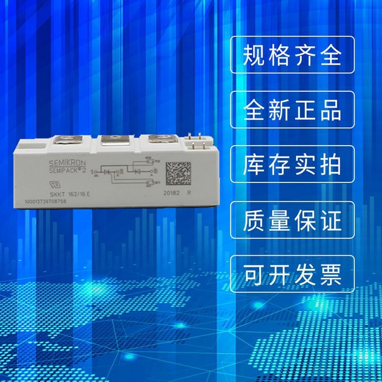 全新西門康可控硅模塊SKKT132-16E SKKT162-16E二極管廠家直銷