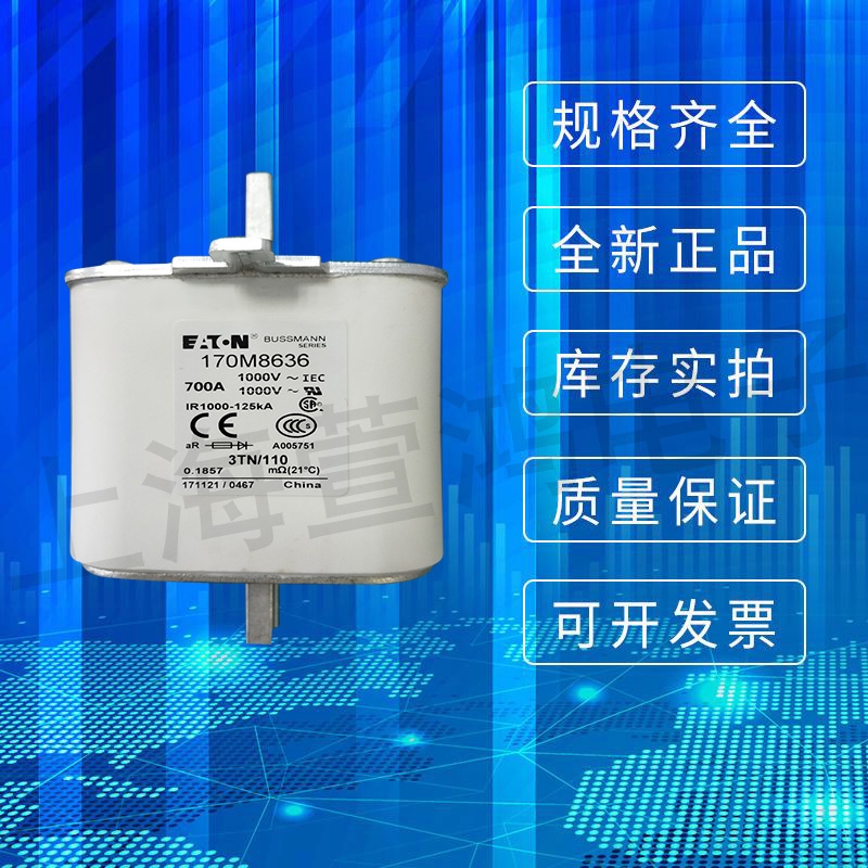 170M8636美國BUSSMANN巴斯曼熔斷器熔芯現(xiàn)貨速發(fā)