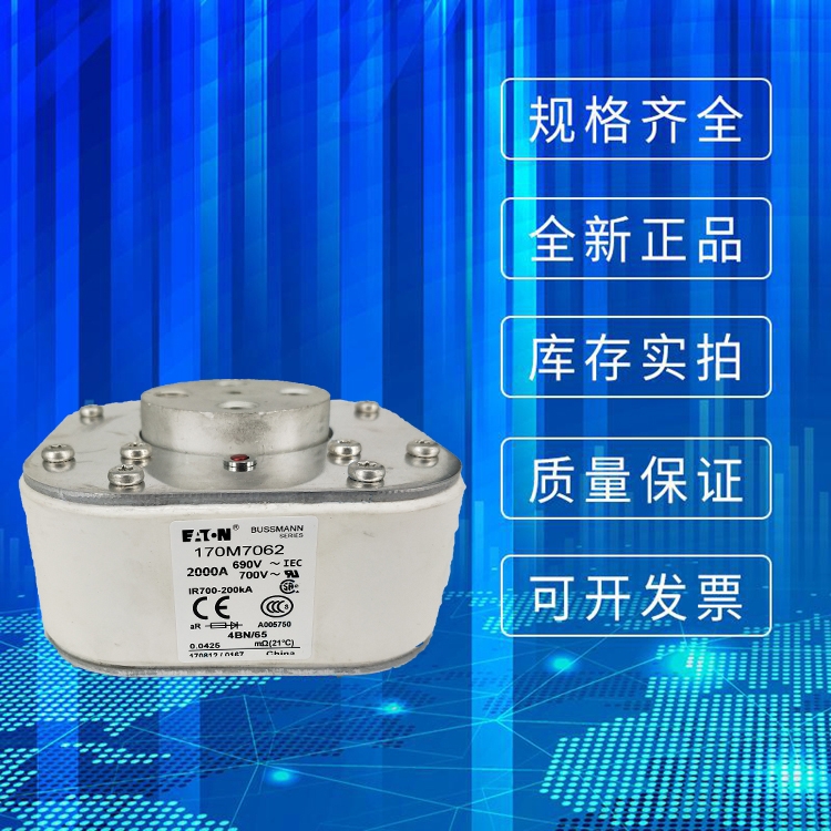 全新原裝進(jìn)口BUSSMANN巴斯曼熔斷器170M7060廠家直銷