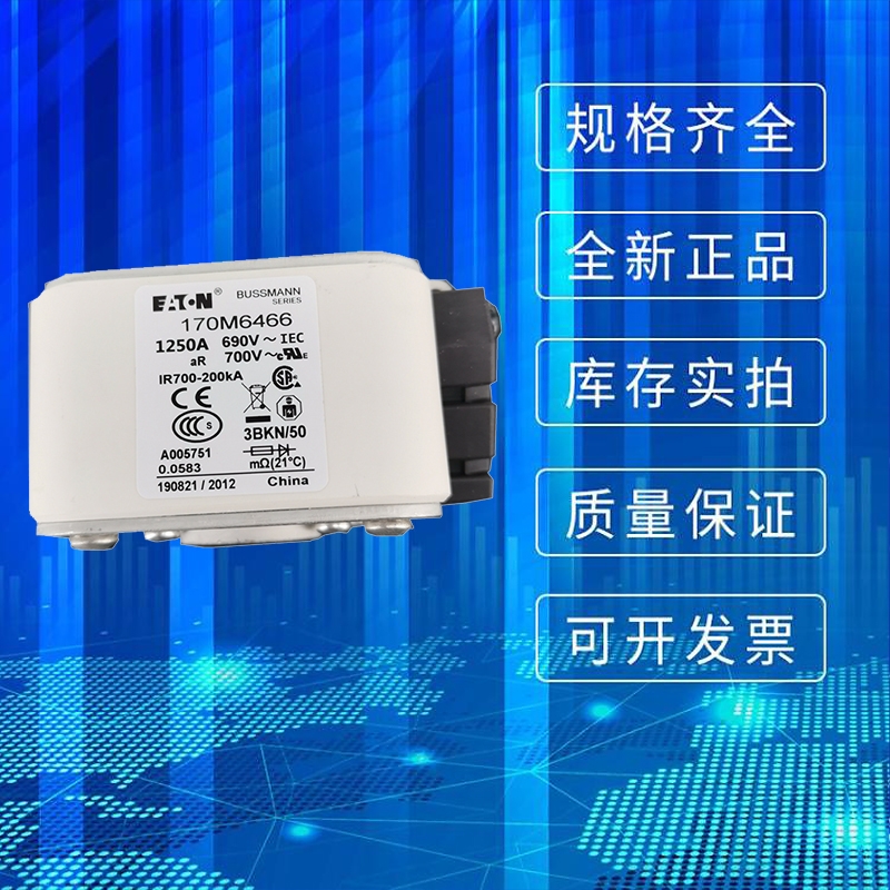 BUSSMANN巴斯曼熔斷器170M6466快速熔斷器極速發(fā)貨