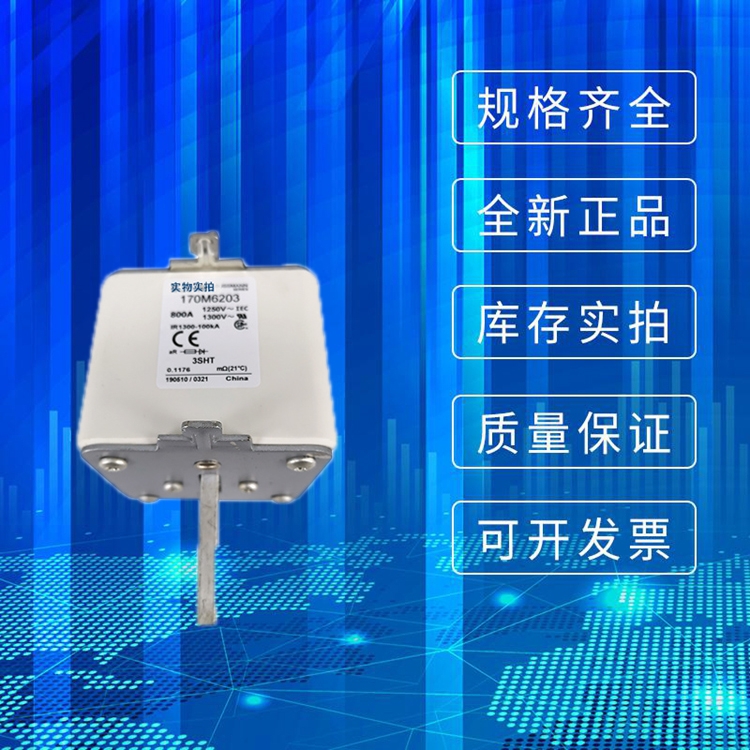 BUSSMANN巴斯曼熔斷器170M6203快速熔斷器極速發(fā)貨