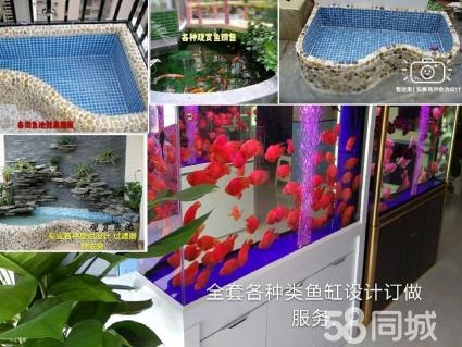 主要工程范圍有室內(nèi)定做淡水海水魚缸專業(yè)清洗魚缸魚池