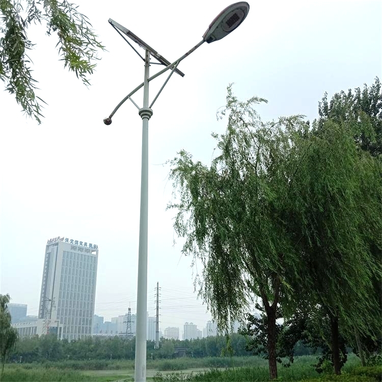 LED路燈 小區(qū)公園景觀燈 6米太陽能燈道路燈