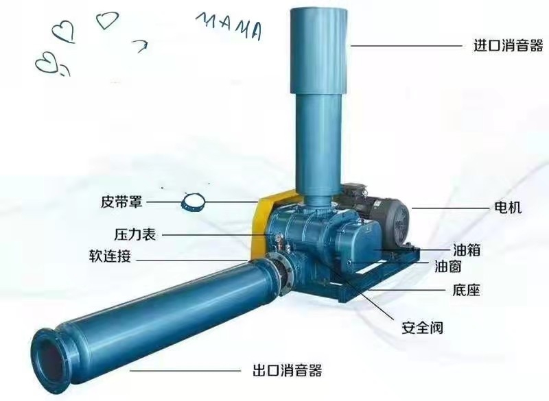 羅茨鼓風(fēng)機