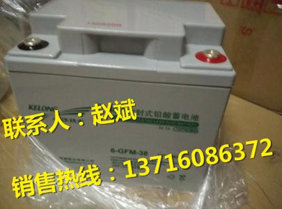 理士LEOCH蓄電池FTG12-100L/12V100AH價格參數(shù)