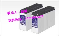 理士LEOCH蓄電池DJM1260/12V60AH價格參數(shù)