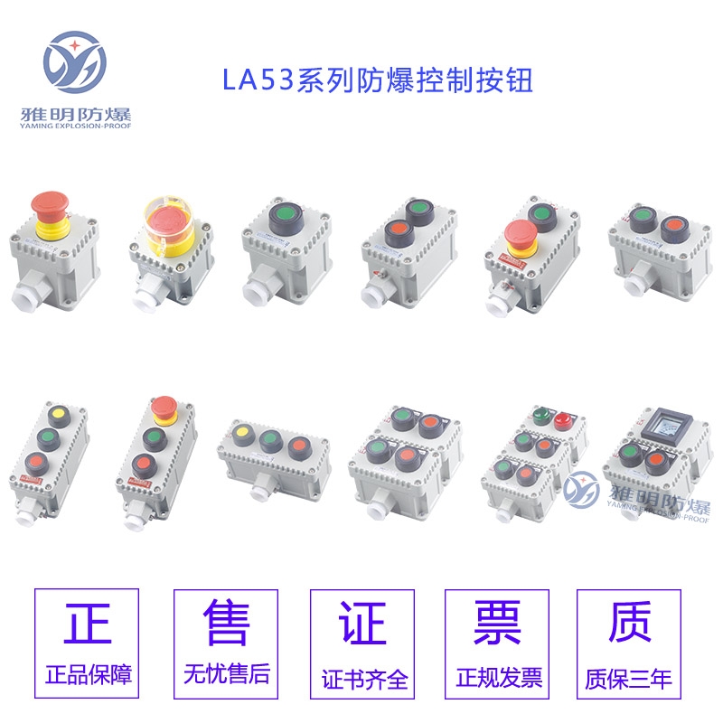 LA53-1帶自鎖LA53-2 LA53-3防爆開(kāi)關(guān)按鈕盒