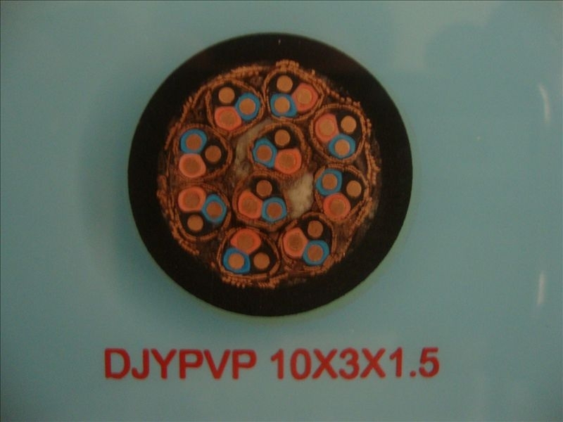 DJYP2VP2-14*2*0.75儀表計(jì)算機(jī)電纜經(jīng)銷(xiāo)商現(xiàn)貨