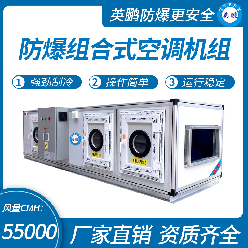 江蘇防爆組合式空調(diào)機(jī)組 直膨式機(jī)組系列