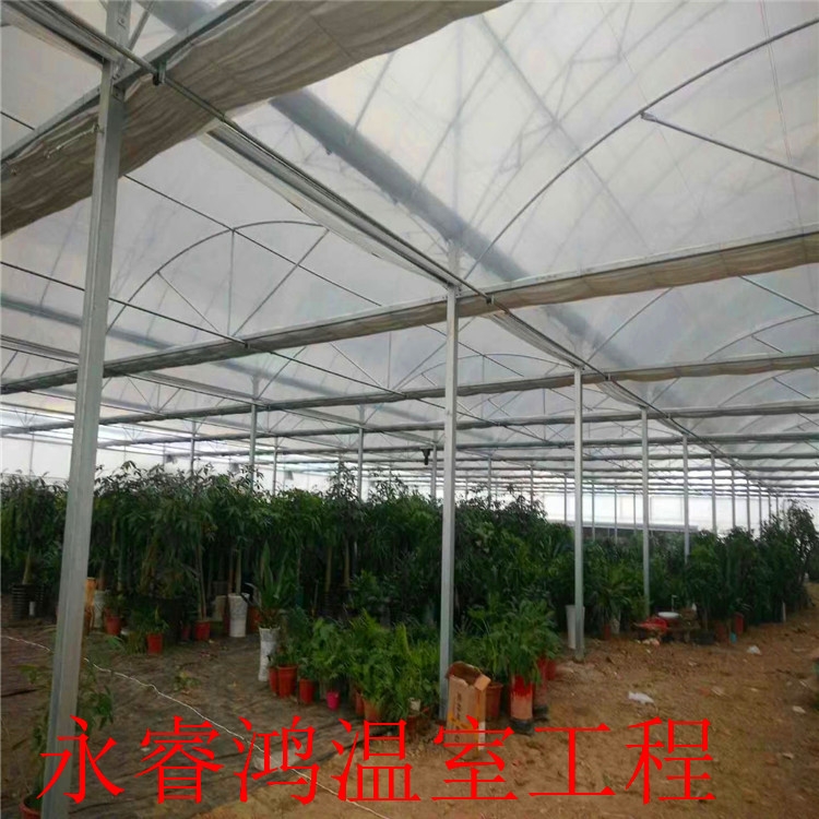 建設(shè)方案 草莓溫室 簡易連棟大棚