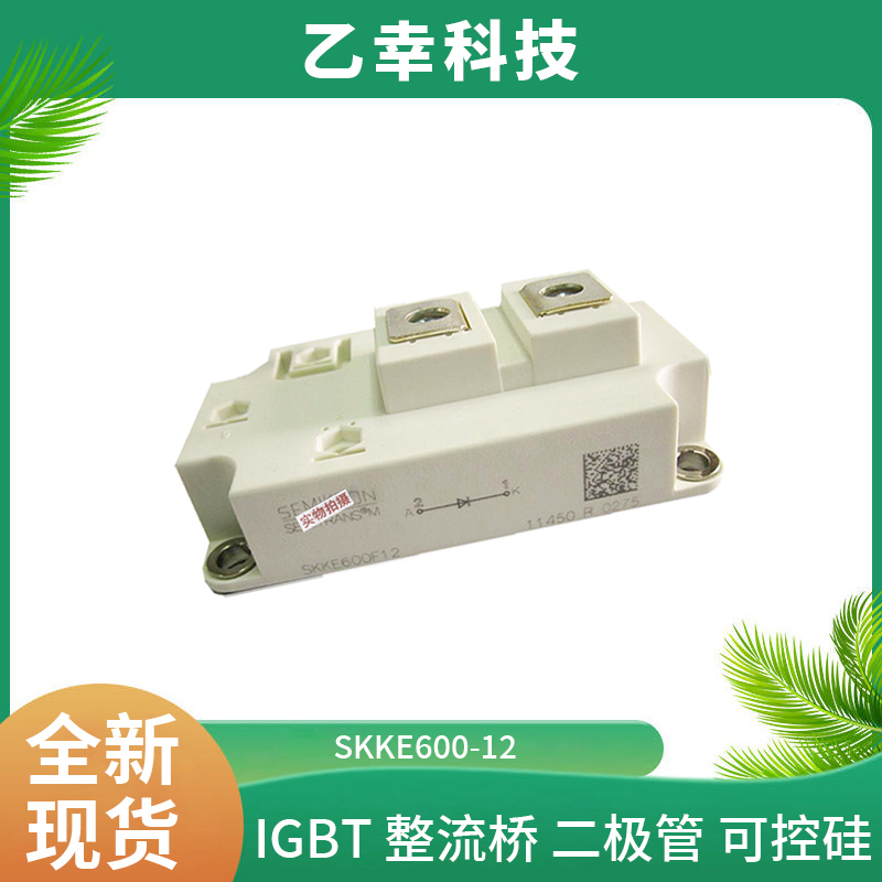 西門康IGBT功率模塊SKKE600-12正品