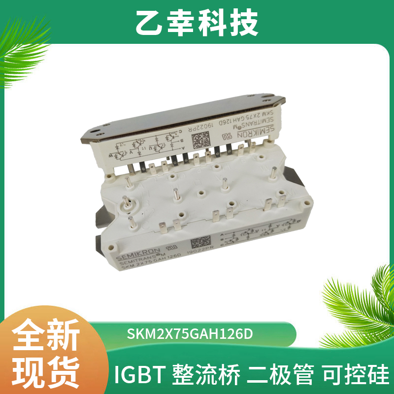 西門康SKM2X75GAH126D可控硅晶閘管原裝