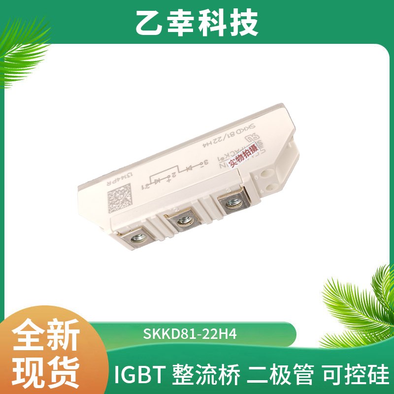 西門康IGBT功率模塊SKD116/18-L75