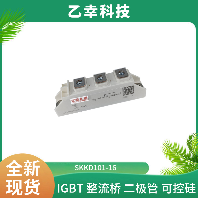 西門康IGBT功率模塊SKDT100/08