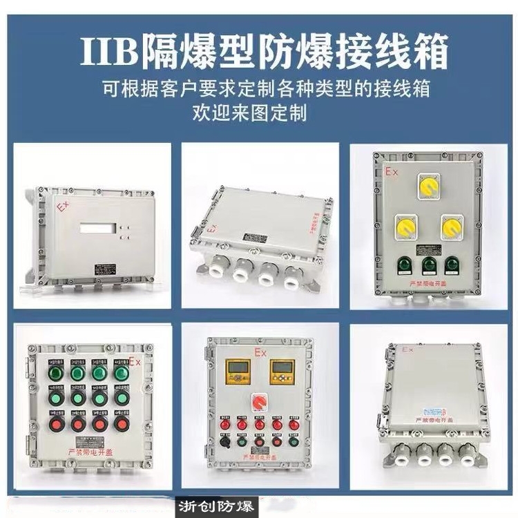 浙創(chuàng)防爆控制箱 防爆插座箱 防爆接線箱 質(zhì)優(yōu)價廉
