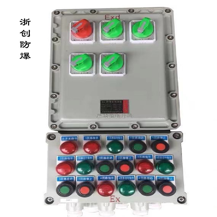 浙創(chuàng)現(xiàn)場(chǎng)噴漆車間防爆箱防爆箱 廠家定制