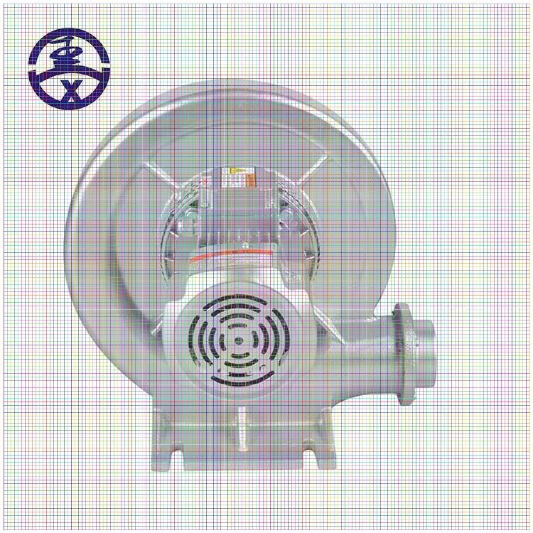 CX125-2.2KW透浦式風(fēng)機(jī)廠家