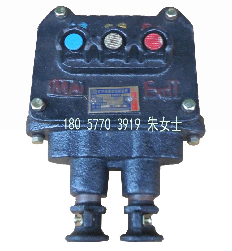 BZA1-5-36-3礦用隔爆型控制按鈕3扭