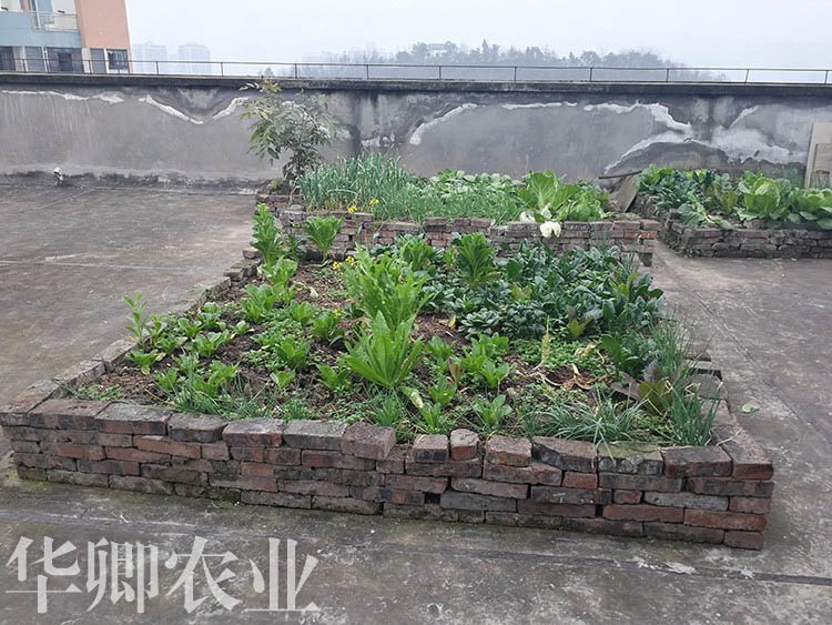 涪陵有機(jī)花土哪里有賣(mài)