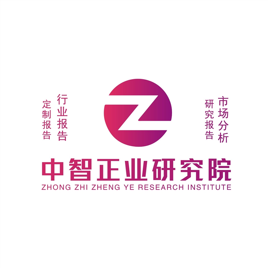 中國稀土新材料市場前景展望與競爭格局預測分析報告2024-2030