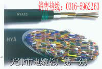 通信電纜HYA53   HYAT53-50x2x0.4