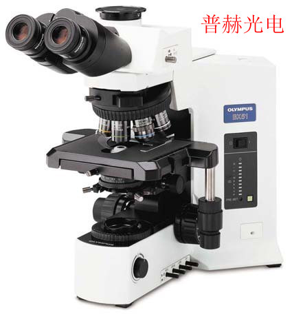 BX51 OLYMPUS系統(tǒng)顯微鏡BX51