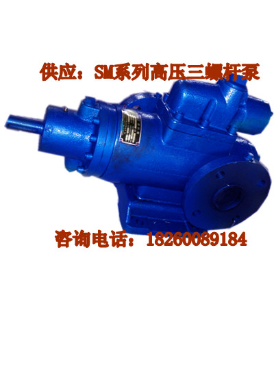 SMSN德國(guó)技術(shù)SMH80R42E6.7W23水泥廠熱電廠點(diǎn)火油泵